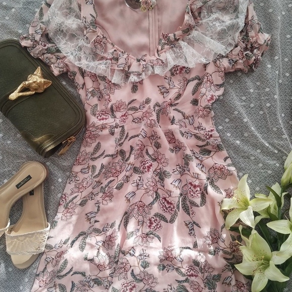 Fox Clutch - Picture 4 of 4